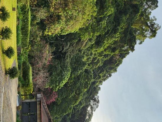 宜蘭有朋會館優惠