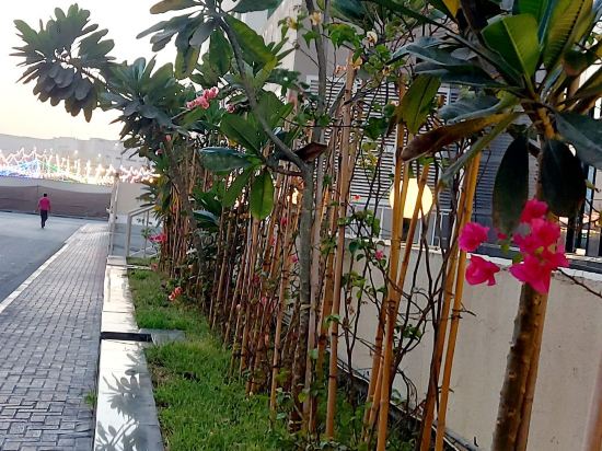 杜拜地標大酒店優惠