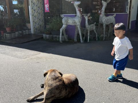 南投清境見晴花園渡假山莊優惠