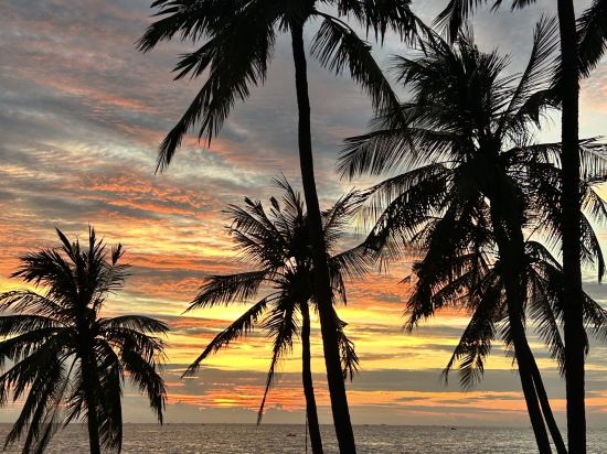 西貢富國島Spa度假飯店優惠