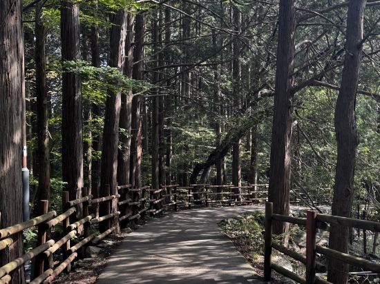 골든서울호텔 쿠폰