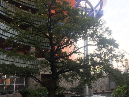 キャナルシティ・福岡ワシントン ホテル クーポン