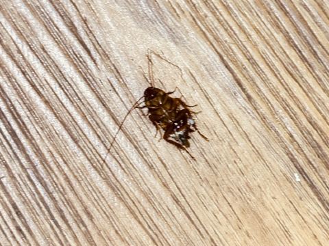 梅州華美達酒店優惠