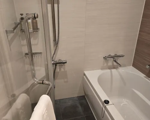 The Blossom Hibiya Rooms Photos