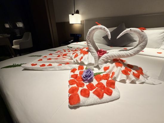 深圳前海君璞書院優惠