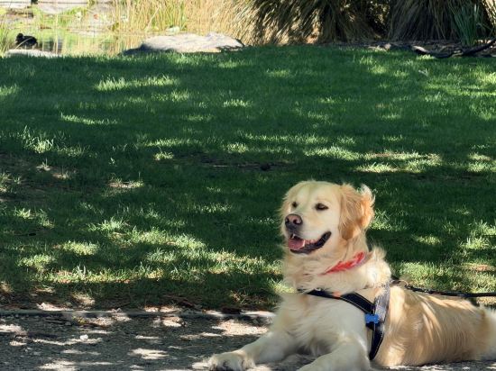 皇后鎮希爾頓逸林飯店優惠