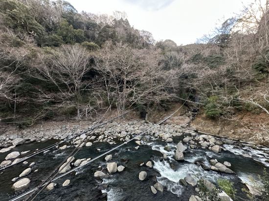 箱根一の湯　塔ノ沢本館 クーポン