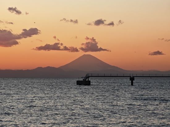 ホテルマイグラント クーポン