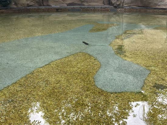 台山頤和温泉城大酒店優惠