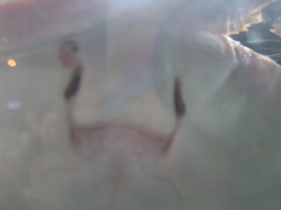 珠海根本家日系民宿優惠