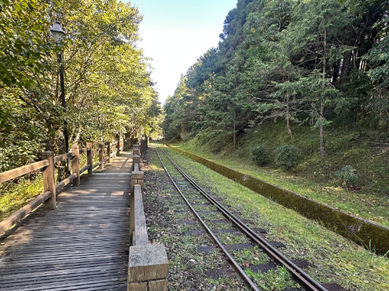 嘉義阿里山賓館優惠
