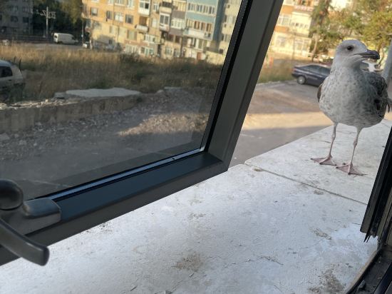 考爾陶爾大米拉酒店優惠