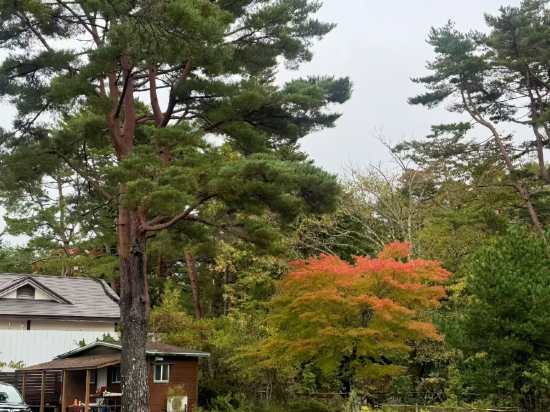富士國際會館飯店優惠