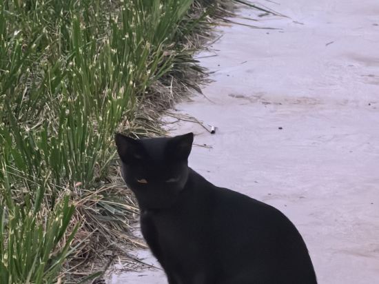 烏魯木齊海華酒店優惠