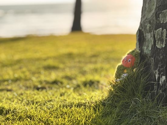 三亞海棠灣JW萬豪度假酒店優惠