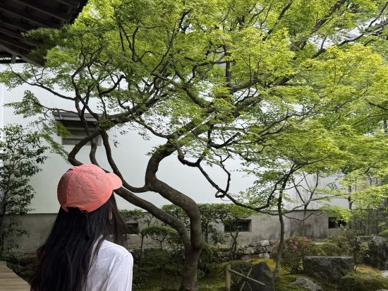天然温泉 浪華の湯 ドーミーイン大阪谷町 クーポン