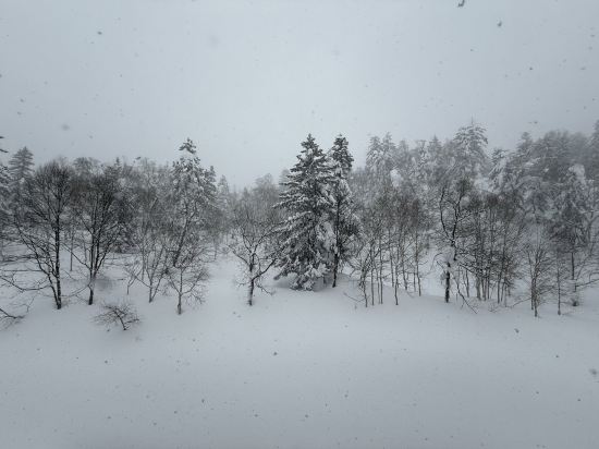 旭岳温泉 ホテルベアモンテ クーポン