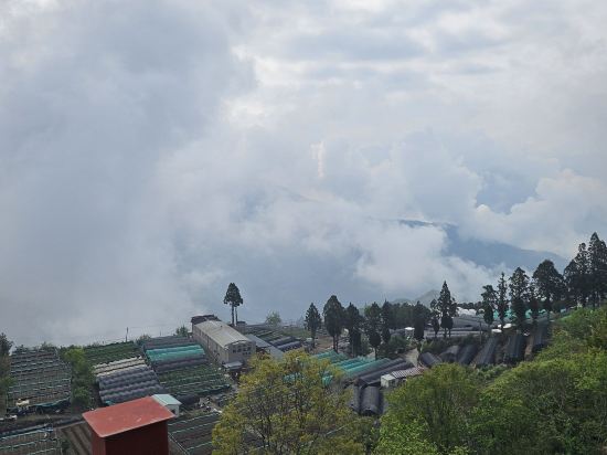 南投清境頂代格拉斯莊園優惠