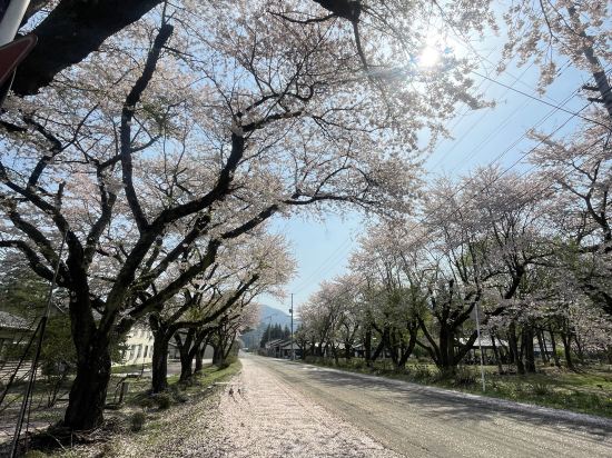 あきた芸術村　温泉ゆぽぽ クーポン