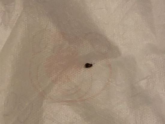 紅多茲高級酒店@馬裏士他（Staycation Approved）優惠