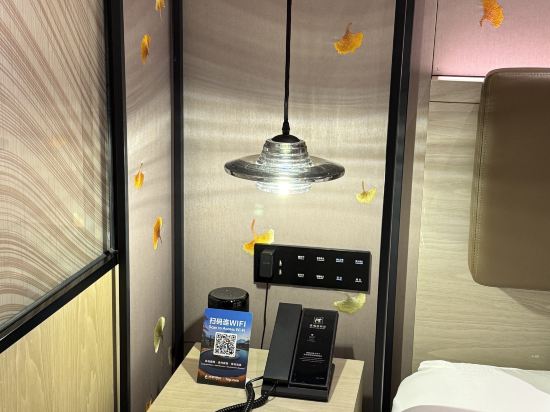 上海國際旅遊度假區荷逸唐飯店優惠