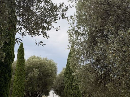 JW萬豪威尼斯度假酒店及水療中心優惠