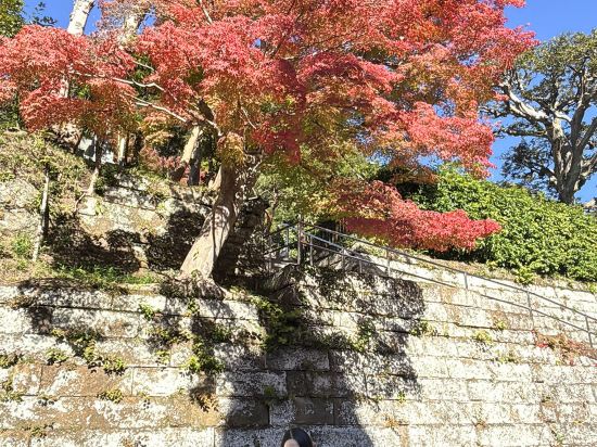 JR東日本鎌倉大船METS飯店優惠