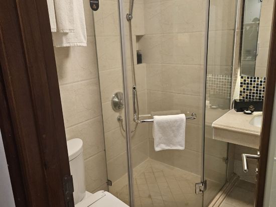 峴港海灘巴利斯德利酒店優惠