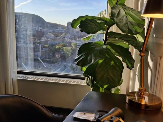 蒙特利爾希爾頓逸林酒店優惠