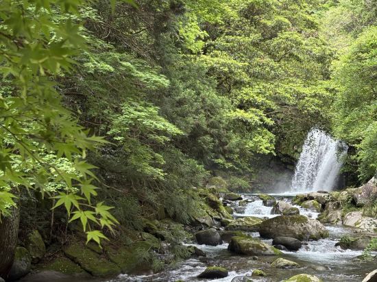 海遊亭 クーポン