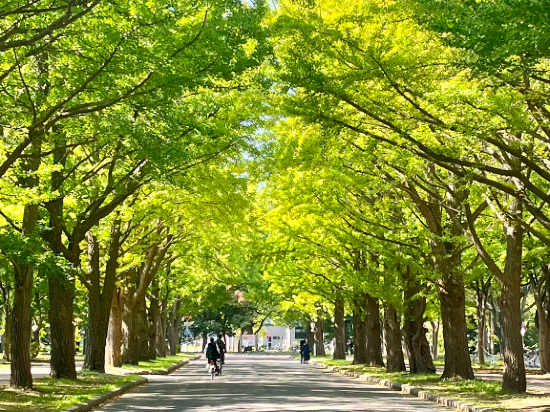 東急stay札幌酒店優惠