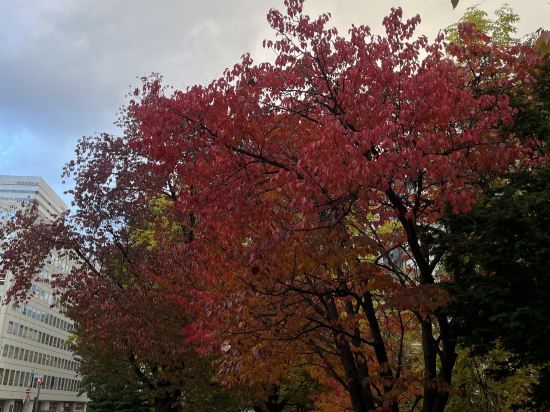 札幌京阪飯店優惠