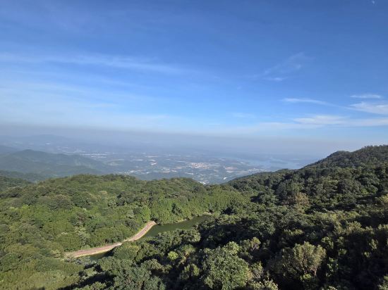 雲浮翔順象窩酒店優惠