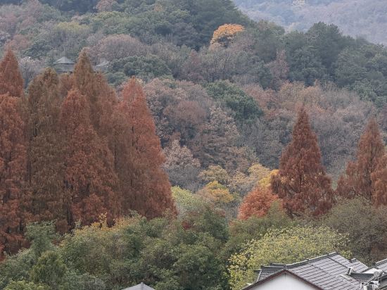 全季飯店（杭州西湖湖濱步行街店）優惠