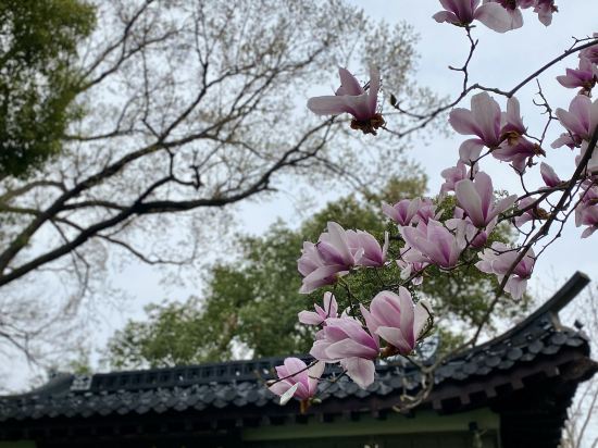 杭州西湖國賓館·西湖第一名園優惠