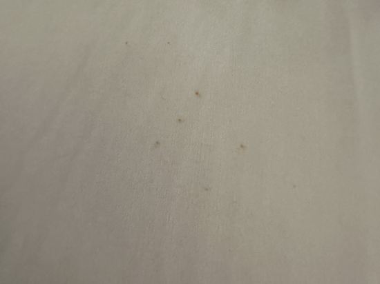 호텔 마누 쿠폰