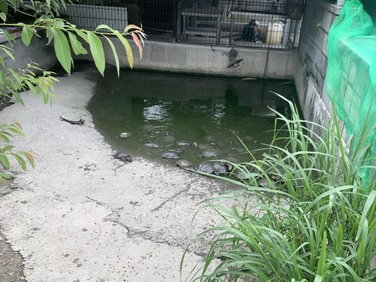 親水89饗樂民宿優惠
