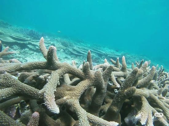 哥打京那巴魯國王公園飯店優惠