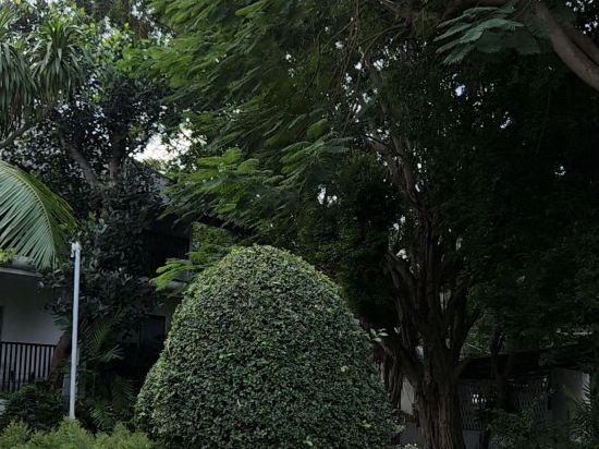 陽光花園度假村優惠