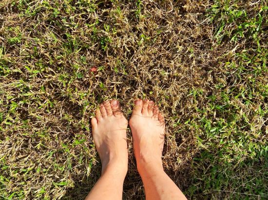 台東鹿野鹿鳴溫泉飯店優惠