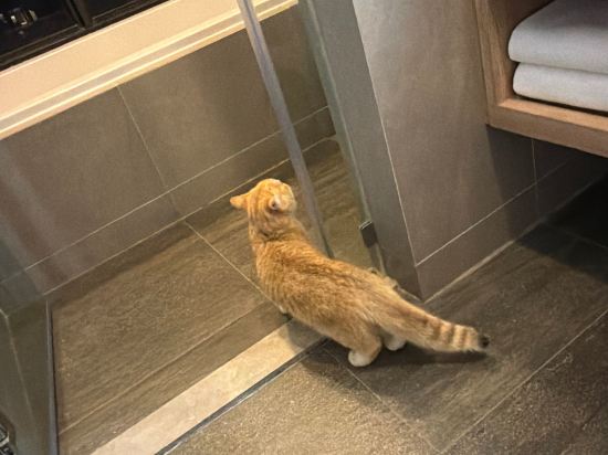 曼谷通羅宿之橋套房飯店優惠