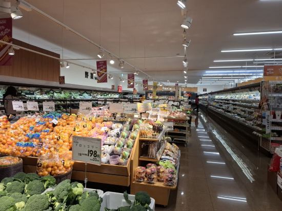 ARK飯店熊本城前店優惠