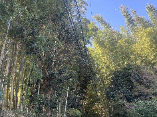 ホテル 嵯峨野 - 成人の方限定 クーポン