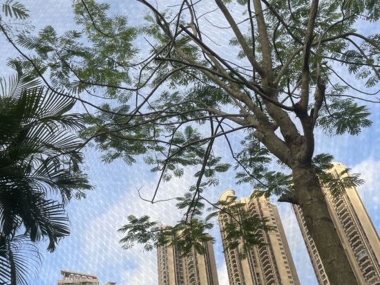 56新房酒店（海口萬國大都會店）優惠