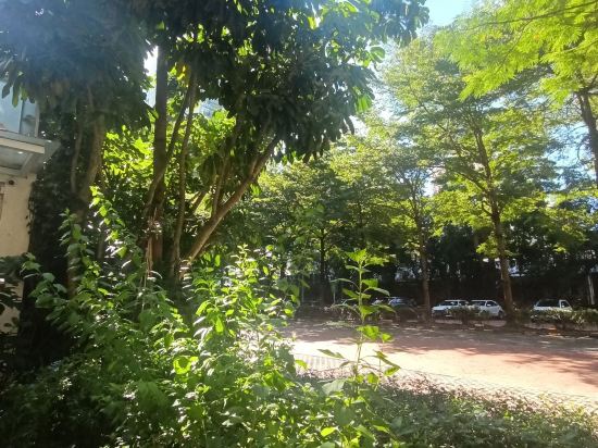 YHA僑城旅友國際青年旅舍（深圳華僑城創意園店）優惠