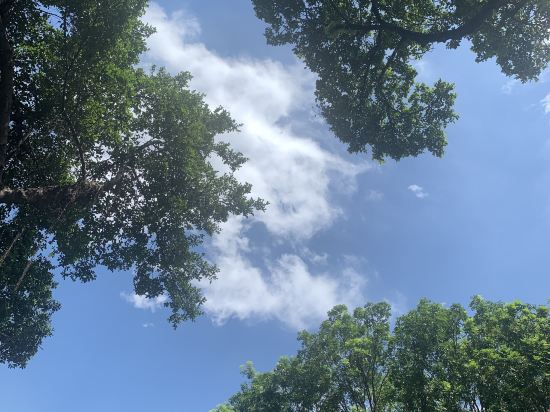 麗怡飯店（廣州火車站小北地鐵站店）優惠