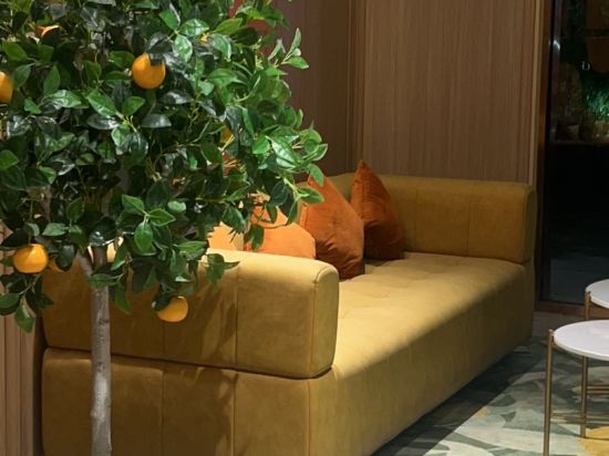 桔子飯店（東莞東城萬達店）優惠