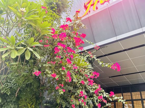 廈門城市廣場希爾頓歡朋酒店優惠