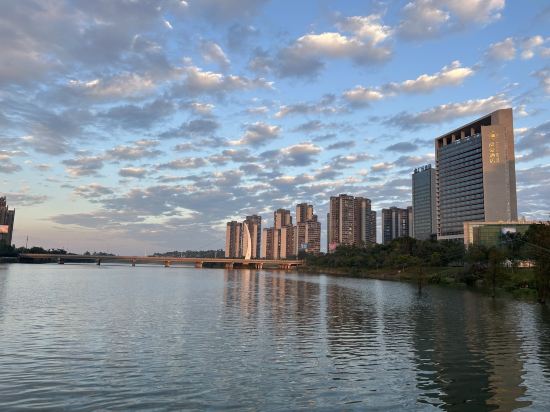恩平逸豪飯店優惠