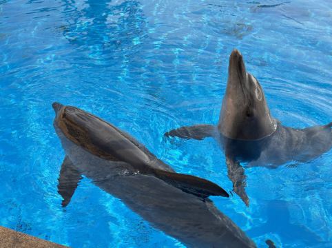 長隆橫琴灣酒店（珠海長隆旗艦店）優惠